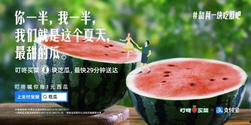 娱乐吃瓜简介文案,吃瓜群众必备的娱乐八卦速览