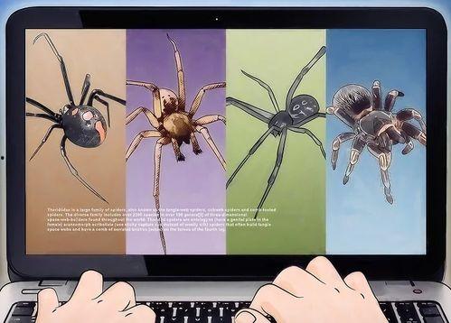 在线观看蜘蛛视频,在线观看的惊悚悬疑之旅