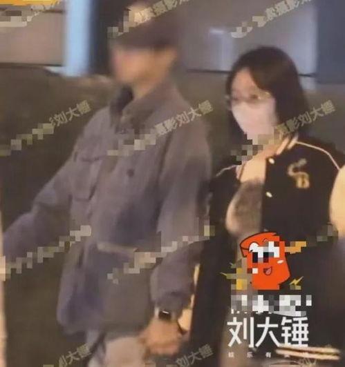 刘大锤最新爆料后续视频,揭秘事件背后惊人真相