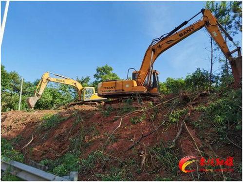 茶陵爆料最新消息